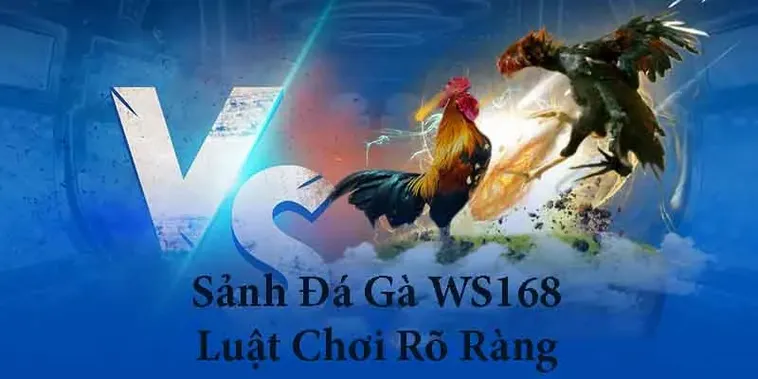 Bí Kíp Chơi Đá Gà WS168 Tại 77Loc Bất Bại Cho Mọi Kê Thủ