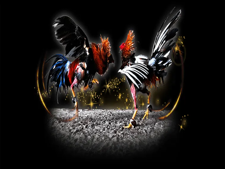 Bí Kíp Chơi Đá Gà Sabong Tại 77Loc Luôn Thắng Từ Các Cao Thủ 1 Bí Kíp Chơi Đá Gà Sabong Tại 77Loc Luôn Thắng Từ Các Cao Thủ